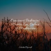 Canciones Poderosas | Sueño Zen, Calma Y Meditación