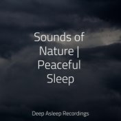 Sounds of Nature | Peaceful Sleep