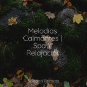 Melodías Calmantes | Spa Y Relajación