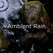 !!!" Ambient Rain "!!!