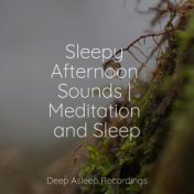 Sleepy Afternoon Sounds | Meditation and Sleep