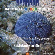 The Best Of - Dalmatia World Music (Live)