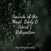 Sounds of the Mind, Body & Spirit | Relaxation