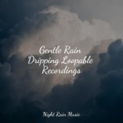 Gentle Rain Dripping Loopable Recordings