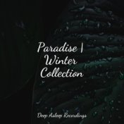 Paradise | Winter Collection