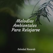 Melodías Ambientales Para Relajarse