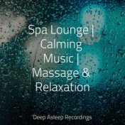 Spa Lounge | Calming Music | Massage & Relaxation