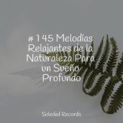 # 1 45 Melodías Relajantes de la Naturaleza Para un Sueño Profundo