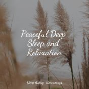 Peaceful Deep Sleep and Relaxation