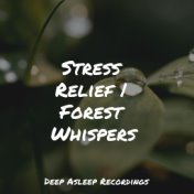 Stress Relief | Forest Whispers
