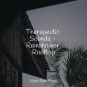 Therapeutic Sounds - Rainshower Rooftop