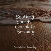 Soothing Sounds | Complete Serenity