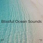 !!!" Blissful Ocean Sounds "!!!