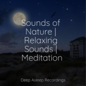 Sounds of Nature | Relaxing Sounds | Meditation