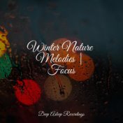 Winter Nature Melodies | Focus