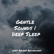 Gentle Sounds | Deep Sleep