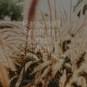 Paradise | Soothing Sounds of Nature | Deep Sleep