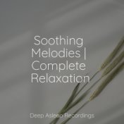 Soothing Melodies | Complete Relaxation