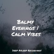 Balmy Evenings | Calm Vibes