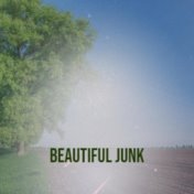 Beautiful Junk