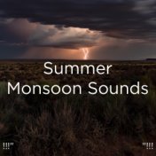 !!!" Summer Monsoon Sounds "!!!