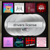 drivers license