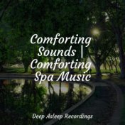 Comforting Sounds | Comforting Spa Music