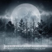 1 Hour of Deep Sleep Meditation (Gratitude Meditation Before Sleep, Celestial Noise, Transition into Sleep Faster, Meditation Tr...