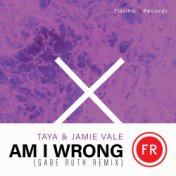Am I Wrong (Gabe Ruth Remix)