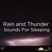 !!!" Rain and Thunder Sounds For Sleeping "!!!