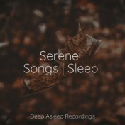 Serene Songs | Sleep
