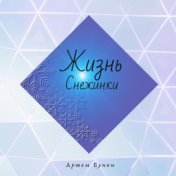 Жизнь снежинки