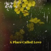 A Place Called Love