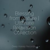 Blessing from Nature | Ultimate Relaxation Collection