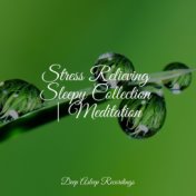 Stress Relieving Sleepy Collection | Meditation