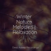 Winter Nature Melodies | Relaxation