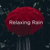 !!!" Relaxing Rain  "!!!