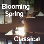 Blooming Spring Classical