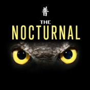 The Nocturnal