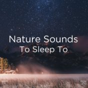 !!!" Nature Sounds To Sleep To "!!!