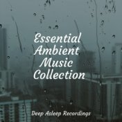 Essential Ambient Music Collection