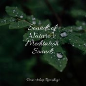 Sounds of Nature | Meditation Sounds