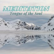 Meditation (Tongue of the Soul: Spiritual Drums, Tibetan Bowls, Mindfulness Practice, Tongue Drum)