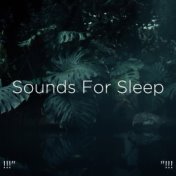 !!!" Sounds For Sleep "!!!