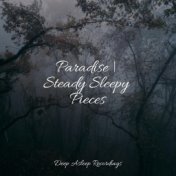 Paradise | Steady Sleepy Pieces