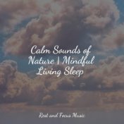 Calm Sounds of Nature | Mindful Living Sleep