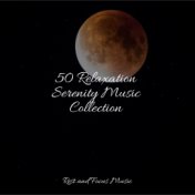 50 Relaxation Serenity Music Collection