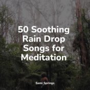 50 Soothing Rain Drop Songs for Meditation