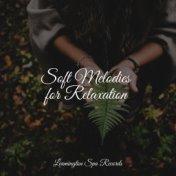 Soft Melodies for Relaxation