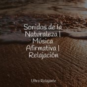 Sonidos de la Naturaleza | Música Afirmativa | Relajación